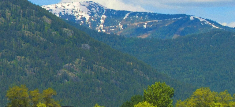 A horse grazes peacefully in a field with a mountain backdrop